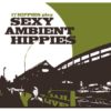 17 Hippies play SEXY AMBIENT HIPPIES